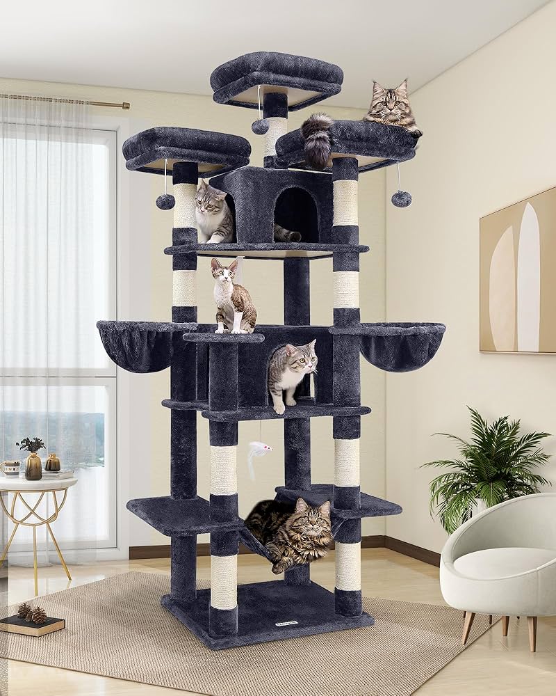 Pet Supplies