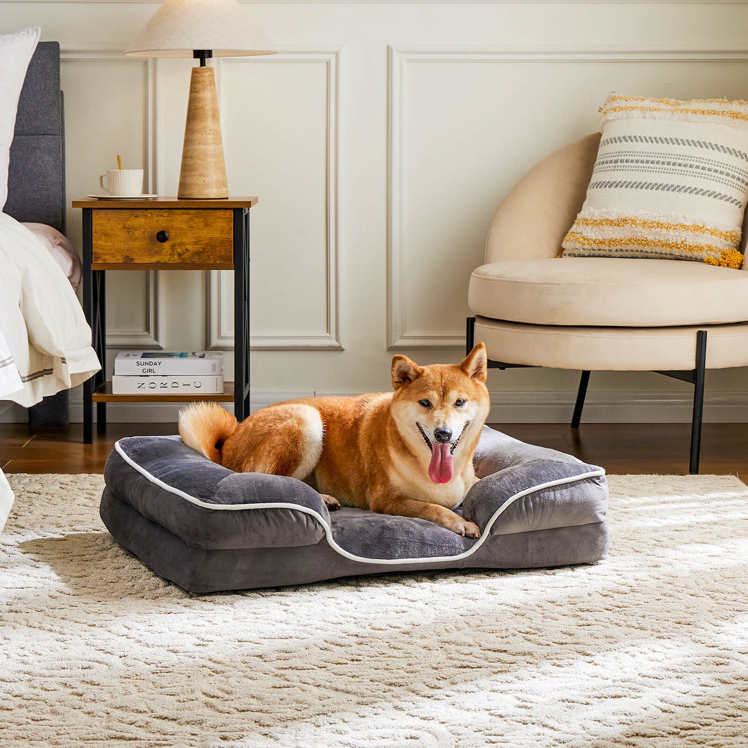 Dog Bed's